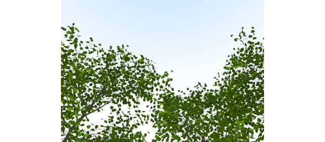 木々｜青空素材 | 環境・自然・エネルギー・災害 - エネルギー / 地球 / 自然 / 環境 / 写真 / イラスト / フリー素材 / ダウンロード