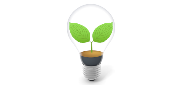Light Bulbs | Leaves | Buds | Environment | Nature | Energy | Disasters-Energy / Earth / Nature / Environment / Photos / Illustrations / Free Materials / Downloads