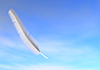 Blue Sky ｜ Feather | Environment / Nature / Energy / Disaster Material --Environmental Image ｜ Free Illustration Material