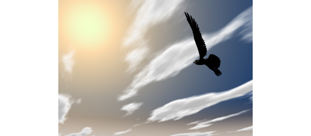 Sunset | Hawk | Environment / Nature / Energy / Disaster-Energy / Earth / Nature / Environment / Photos / Illustrations / Free Materials / Download