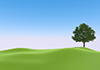 Plains ｜ Trees ｜ Lawns ――Environmental images ｜ Free illustration material