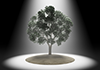 Spotlight / Tree | Large Tree | Energy / Sunlight Material | Environment / Nature / Energy / Disaster --Environmental Image | Free Illustration Material
