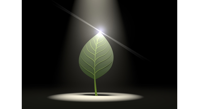 Darkness / Flash | Light / Spotlight | Illuminate / Leaf Material | Environment / Nature / Energy / Disaster --Energy / Earth / Nature / Environment / Photo / Illustration / Free Material / Download