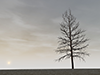 枯れ木 | 干ばつ | 荒れ地 | 森林 - 環境イメージ｜フリーイラスト素材