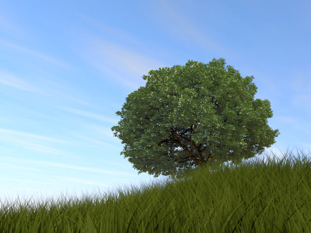 大きな木 | 青空 | 草原 | 環境・自然・エネルギー・災害 - エネルギー / 地球 / 自然 / 環境 / 写真 / イラスト / フリー素材 / ダウンロード