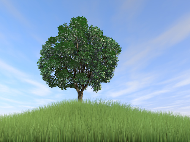 大きな木 | 青空 | 草原 | 環境 | 自然 | エネルギー | 災害 - エネルギー / 地球 / 自然 / 環境 / 写真 / イラスト / フリー素材 / ダウンロード