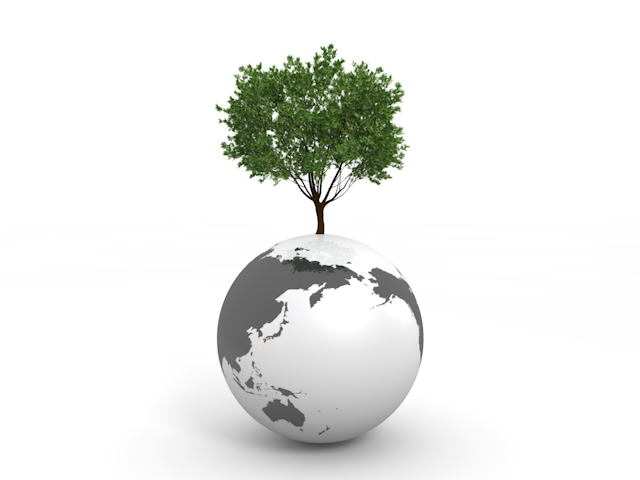 地球 | 大きな木 | 緑 | アジア - エネルギー / 地球 / 自然 / 環境 / 写真 / イラスト / フリー素材 / ダウンロード