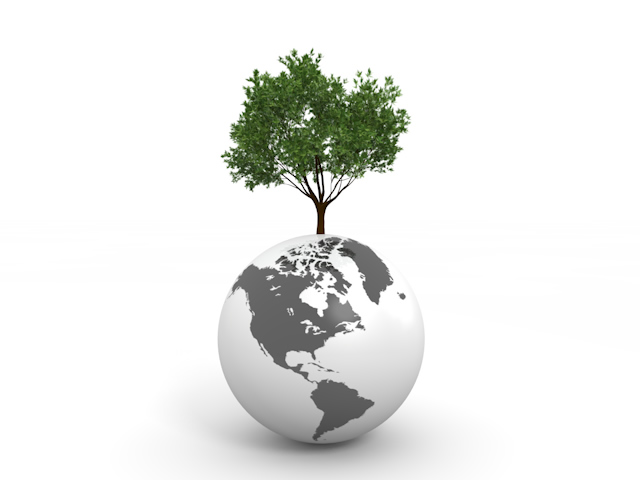 地球 | 大きな木 | 緑 | アメリカ | 環境・自然・エネルギー・災害素材 - エネルギー / 地球 / 自然 / 環境 / 写真 / イラスト / フリー素材 / ダウンロード