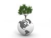 地球 | 大きな木 | 緑 | アメリカ | 環境・自然・エネルギー・災害素材 - 環境イメージ｜フリーイラスト素材