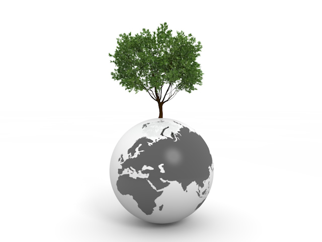 地球 | 大きな木 | 緑 | ヨーロッパ  | 環境・自然・エネルギー・災害 - エネルギー / 地球 / 自然 / 環境 / 写真 / イラスト / フリー素材 / ダウンロード