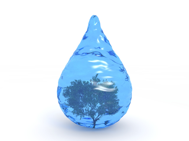 水滴 | 大きな木 | 水中素材 | 環境・自然・エネルギー・災害 - エネルギー / 地球 / 自然 / 環境 / 写真 / イラスト / フリー素材 / ダウンロード