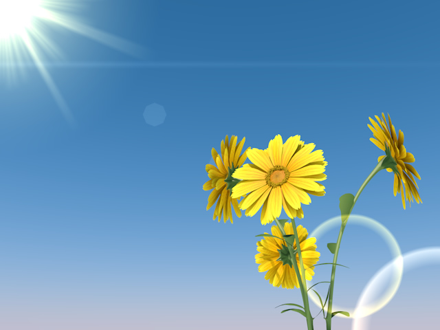 Sunflower | Sun | Nature | Nikko | Environment | Nature | Energy | Disaster-Energy / Earth / Nature / Environment / Photos / Illustrations / Free Materials / Download