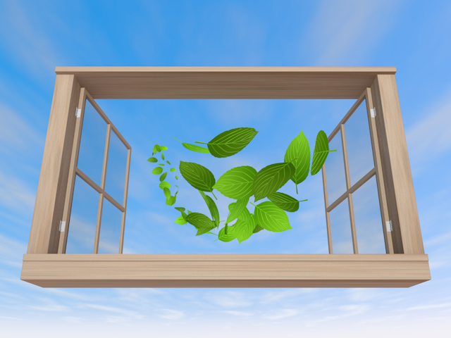 窓 | 飛ぶ葉っぱ | 青空 | 風 - エネルギー / 地球 / 自然 / 環境 / 写真 / イラスト / フリー素材 / ダウンロード