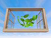 窓 | 飛ぶ葉っぱ | 青空 | 風 - 環境イメージ｜フリーイラスト素材